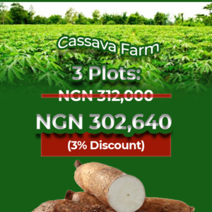 3 Plots of Cassava Farm