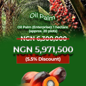 Oil Palm (Enterprise)