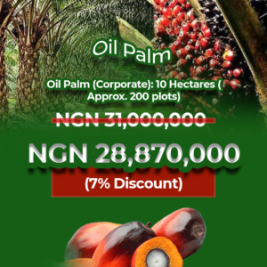 Oil Palm (Corporate)