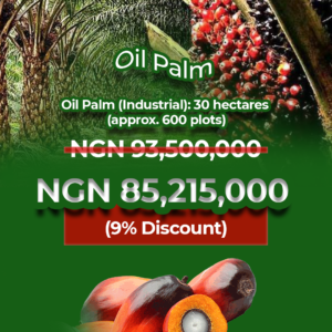 Oil Palm (Industrial)