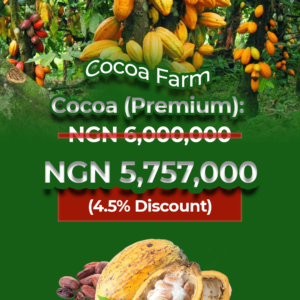 Cocoa (Premium)