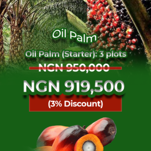 Oil Palm (Starter)