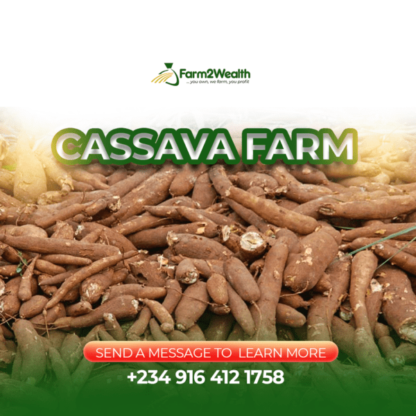 Cassava Partnership