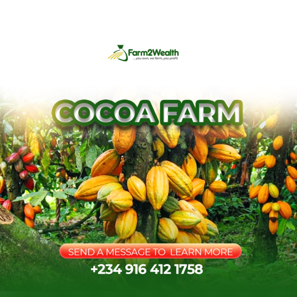 Cocoa Partnership