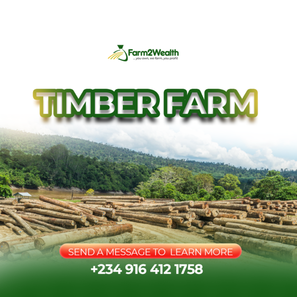 Timber Partnership