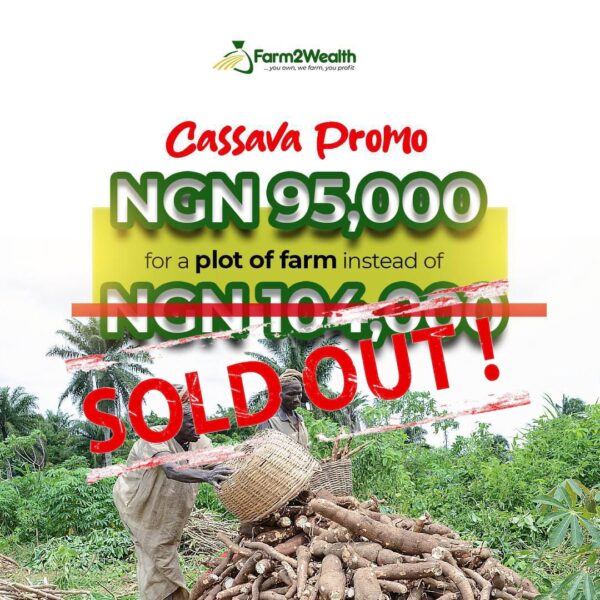 Cassava Partnership